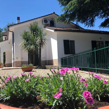 B&B Zac House Тойрано Екстериор снимка